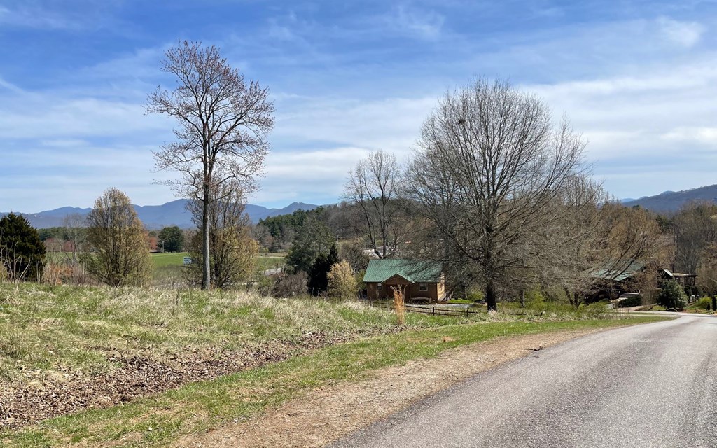 Lot 8 Cabin Drive Property Photo 8