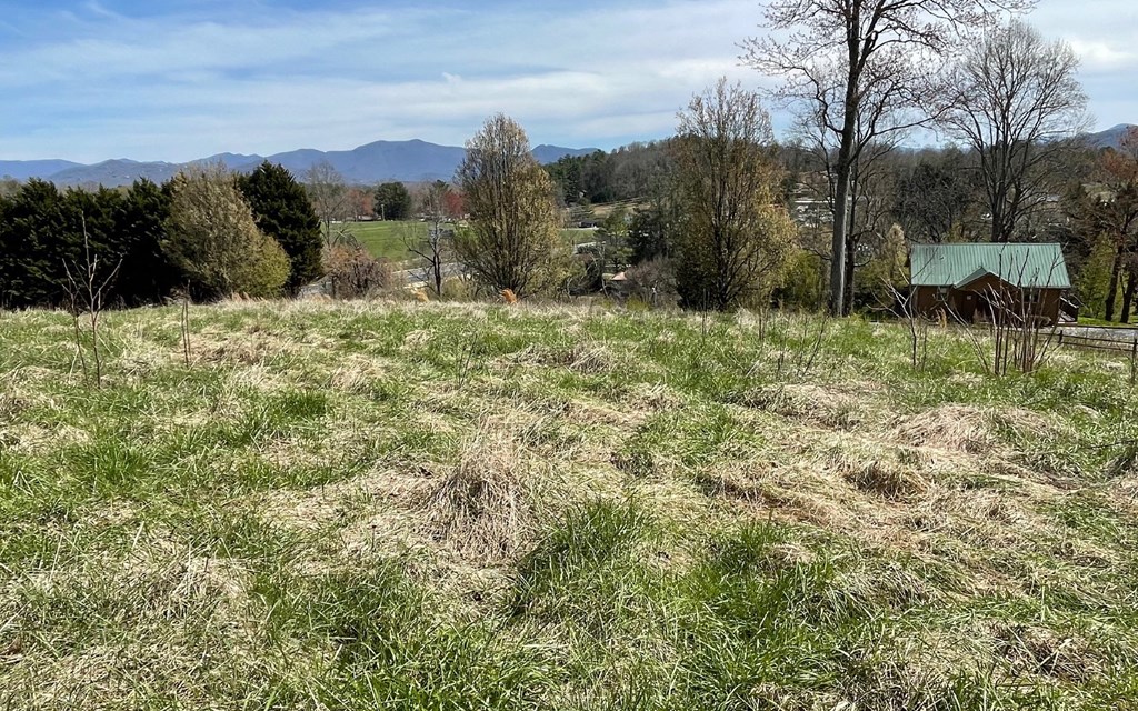 Lot 8 Cabin Drive Property Photo 13