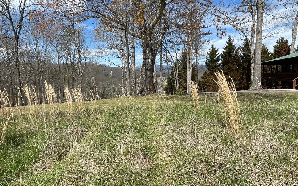 Lot 8 Cabin Drive Property Photo 14