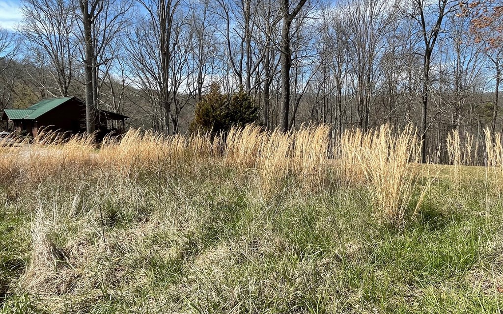Lot 8 Cabin Drive Property Photo 15