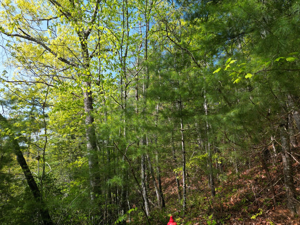 00 Indian Trail Property Photo 2