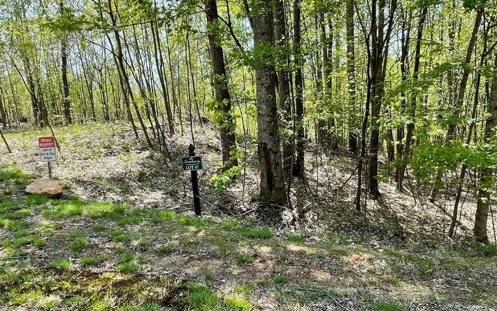 Lot 67 The Sanctuary At Vance Mountain Property Photo 1