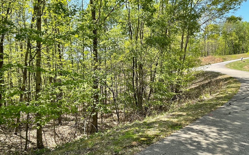 Lot 67 The Sanctuary At Vance Mountain Property Photo 4
