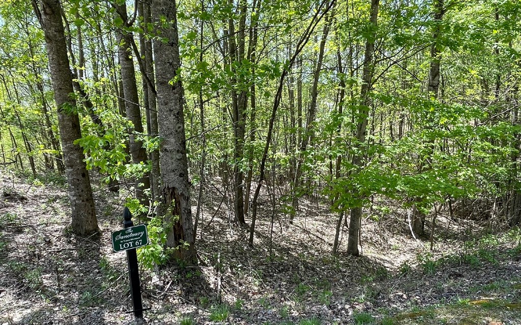 Lot 67 The Sanctuary At Vance Mountain Property Photo 7