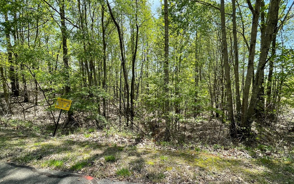 Lot 67 The Sanctuary At Vance Mountain Property Photo 8