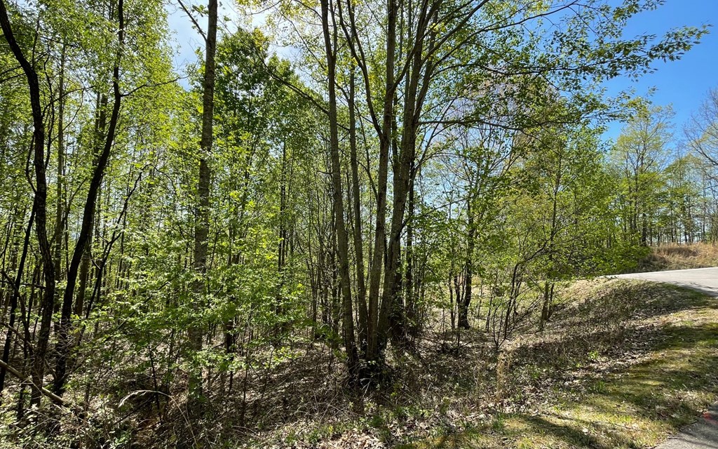 Lot 67 The Sanctuary At Vance Mountain Property Photo 9