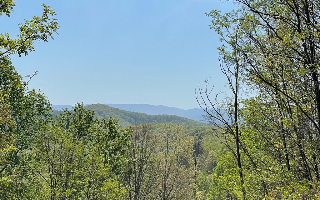 Lot 67 The Sanctuary At Vance Mountain Property Photo 12
