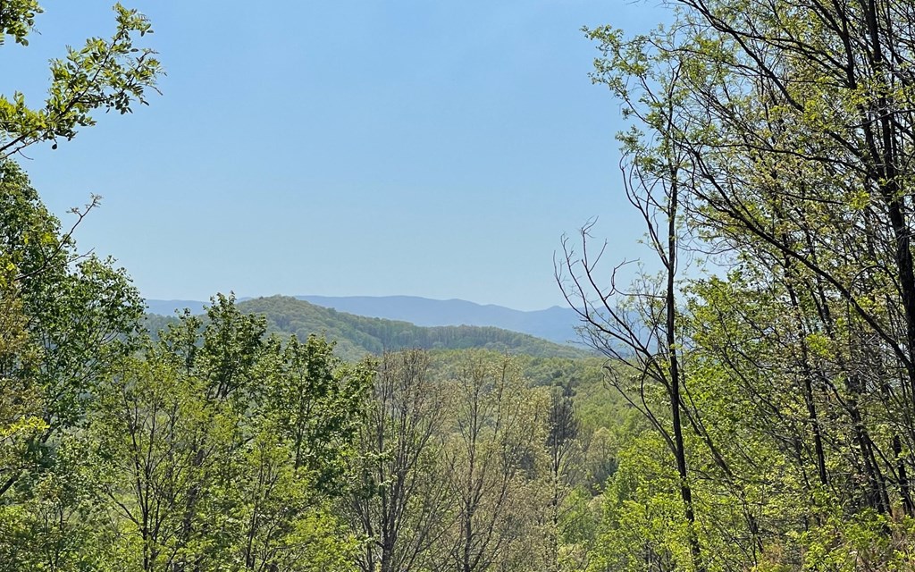 Lot 67 The Sanctuary At Vance Mountain Property Photo 13