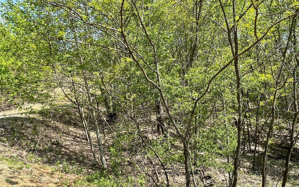 Lot 67 The Sanctuary At Vance Mountain Property Photo 14