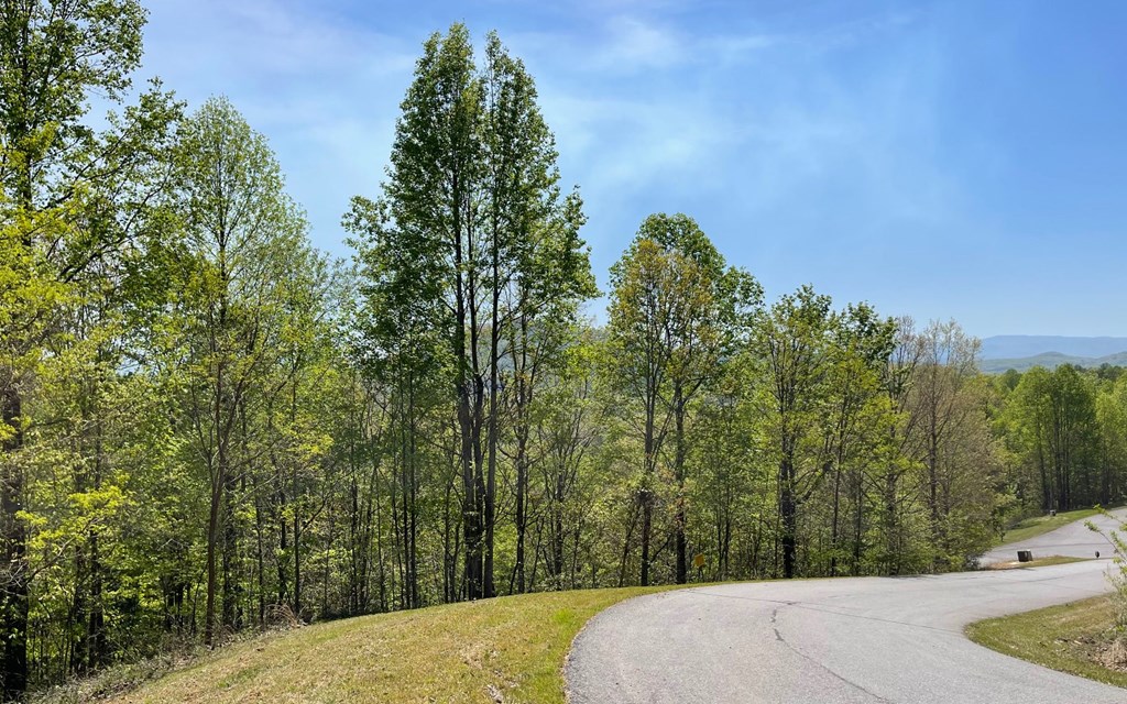 Lot 67 The Sanctuary At Vance Mountain Property Photo 17