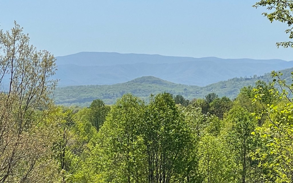 Lot 67 The Sanctuary At Vance Mountain Property Photo 18