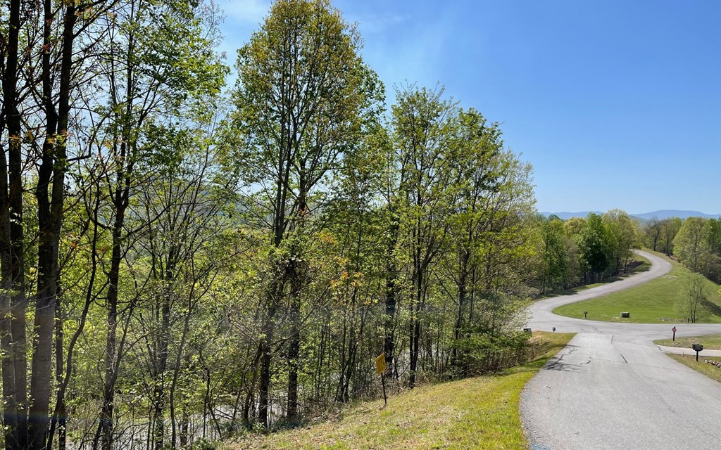 Lot 67 The Sanctuary At Vance Mountain Property Photo 20