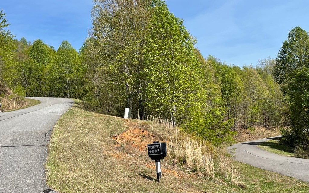 Lot 67 The Sanctuary At Vance Mountain Property Photo 21