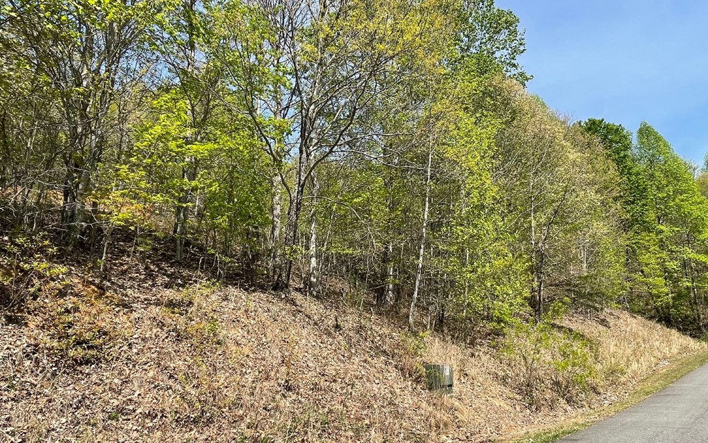 Lot 67 The Sanctuary At Vance Mountain Property Photo 22