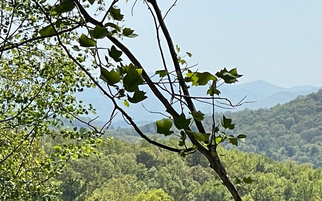 Lot 67 The Sanctuary At Vance Mountain Property Photo 23