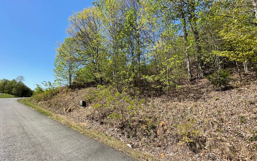 Lot 67 The Sanctuary At Vance Mountain Property Photo 24