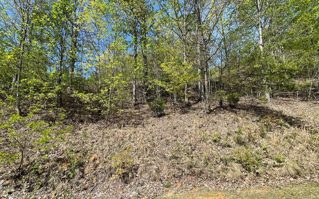 Lot 67 The Sanctuary At Vance Mountain Property Photo 25