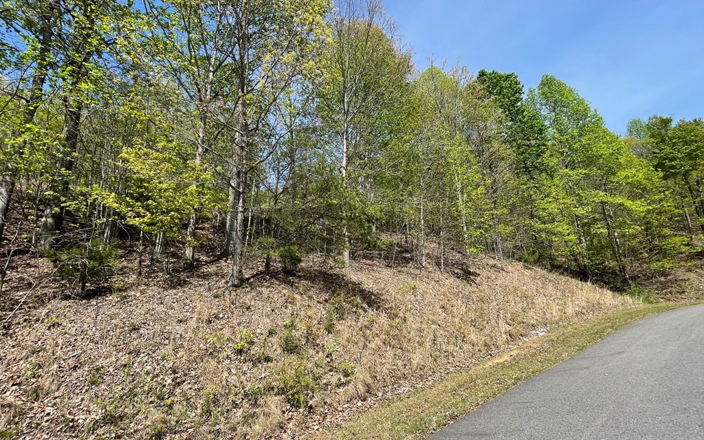 Lot 67 The Sanctuary At Vance Mountain Property Photo 26
