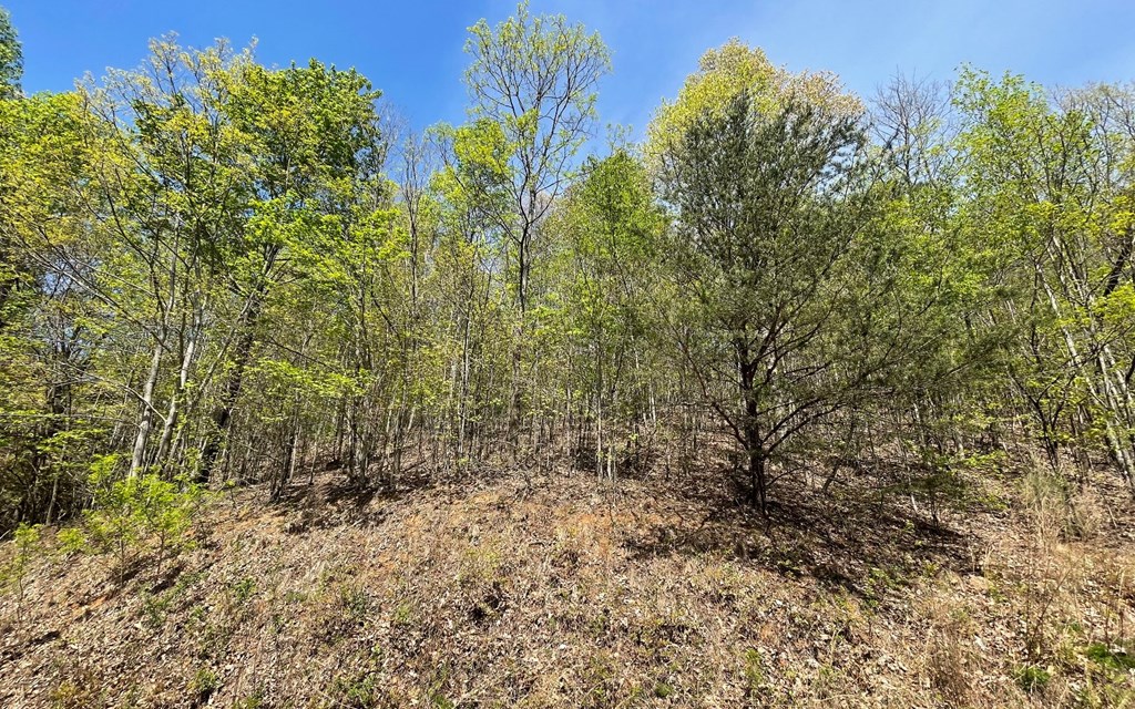 Lot 67 The Sanctuary At Vance Mountain Property Photo 28