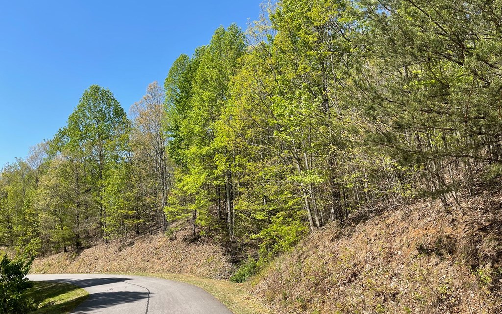 Lot 67 The Sanctuary At Vance Mountain Property Photo 29
