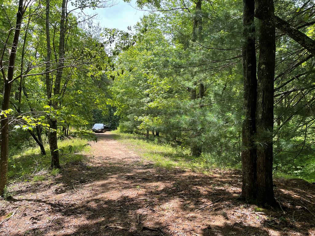 00 Collett Woods Trail Property Photo