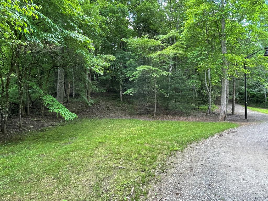 00 Collett Woods Trail Property Photo