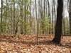 Lot 25 N Laurel Mountain Drive Property Photo