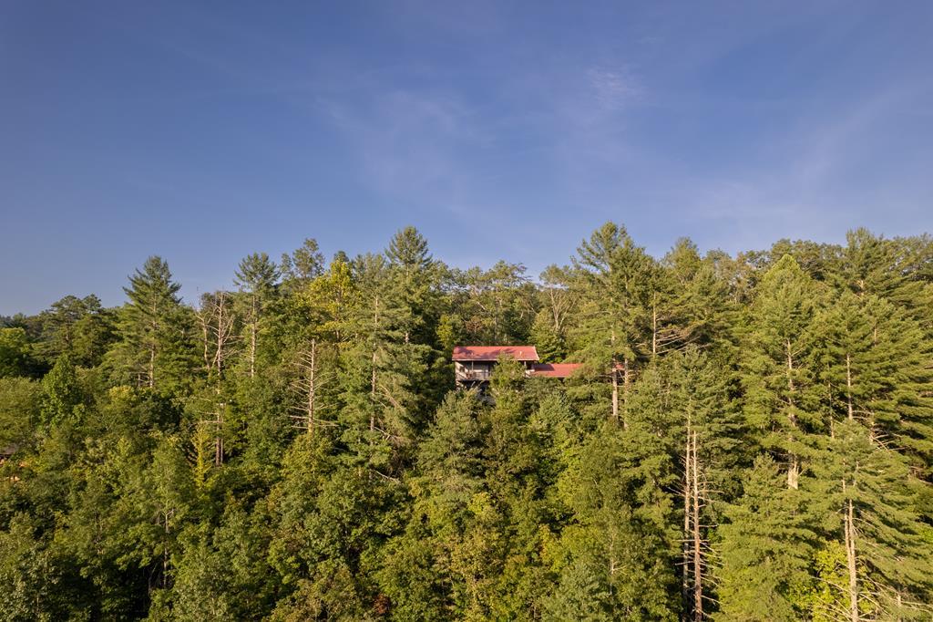 116 Mission Dam Overlook Property Photo 2