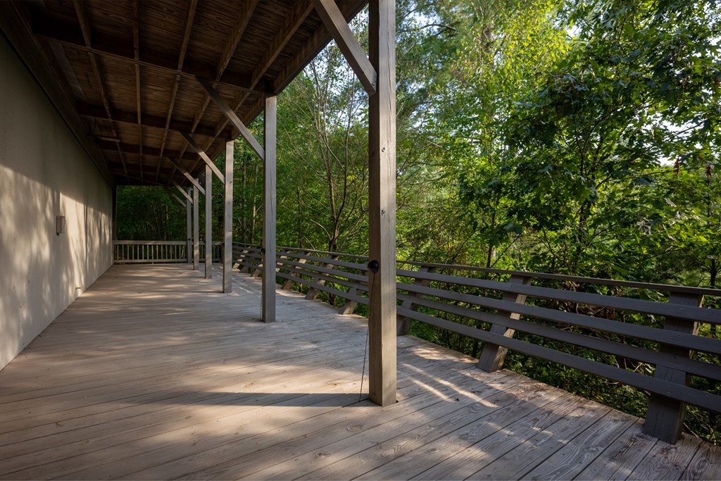 116 Mission Dam Overlook Property Photo 7