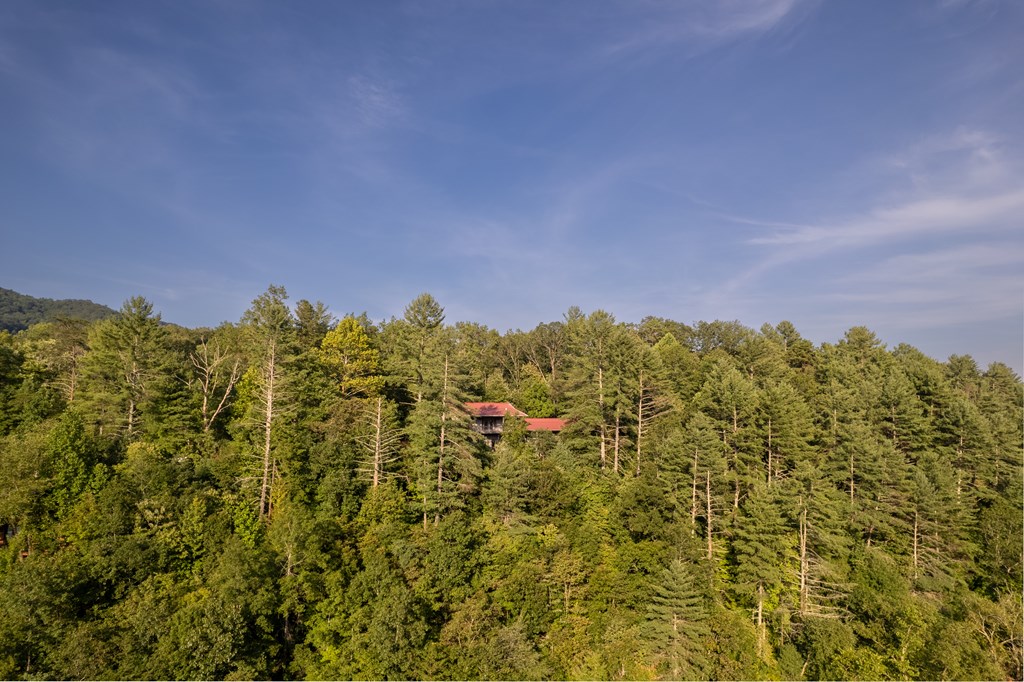 116 Mission Dam Overlook Property Photo 24