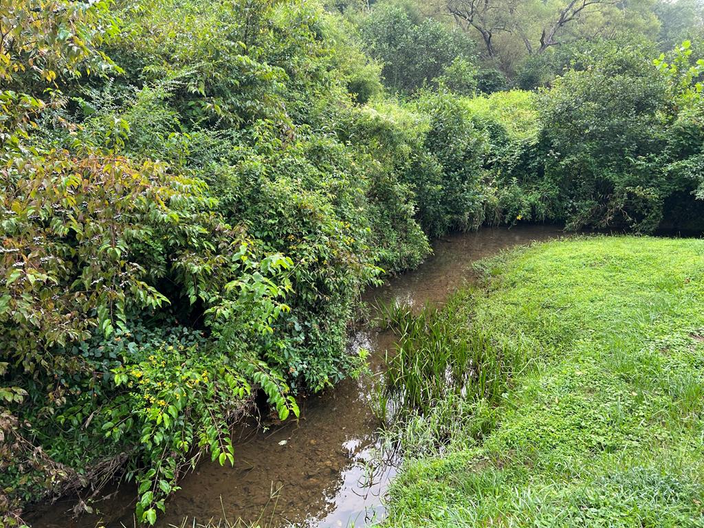 000 Hampton Church Rd Property Photo 1