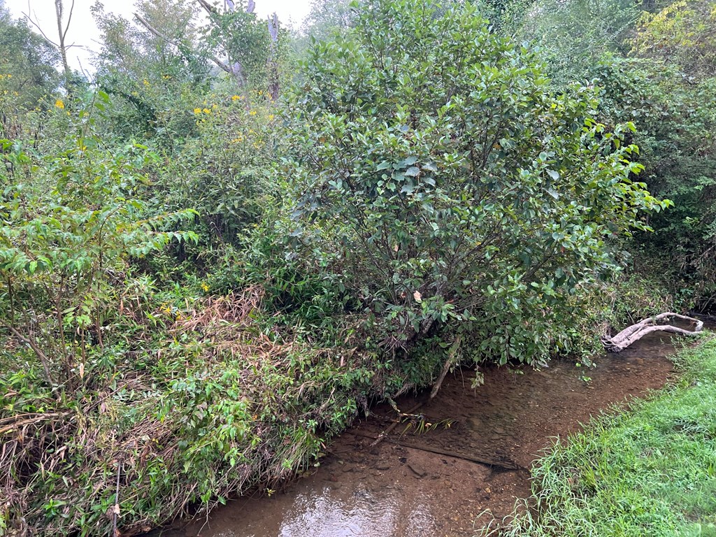 000 Hampton Church Rd Property Photo 3