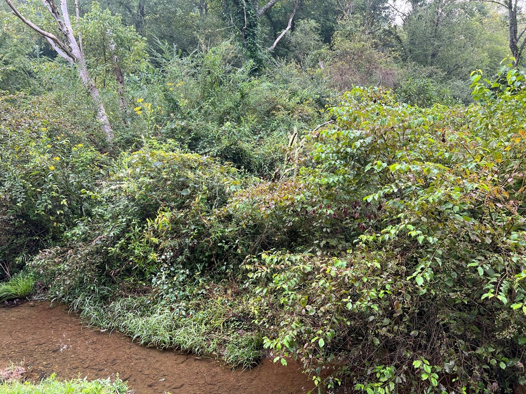 000 Hampton Church Rd Property Photo 5