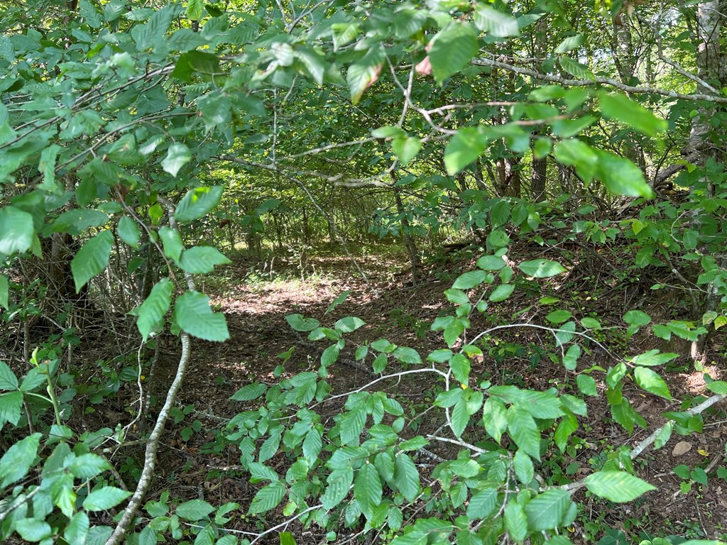 000 Hampton Church Rd Property Photo 6