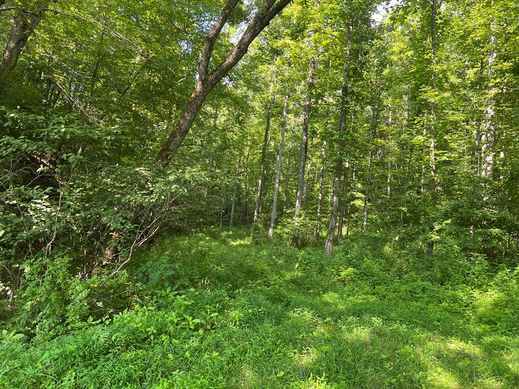 000 Hampton Church Rd Property Photo 7