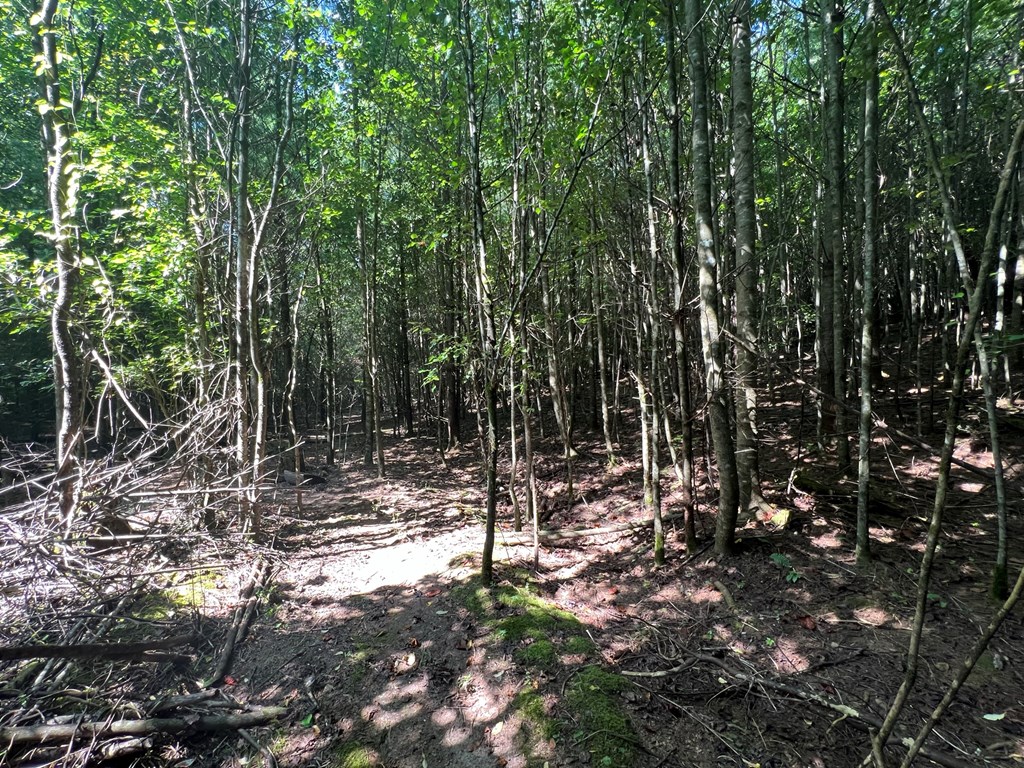 000 Hampton Church Rd Property Photo 8