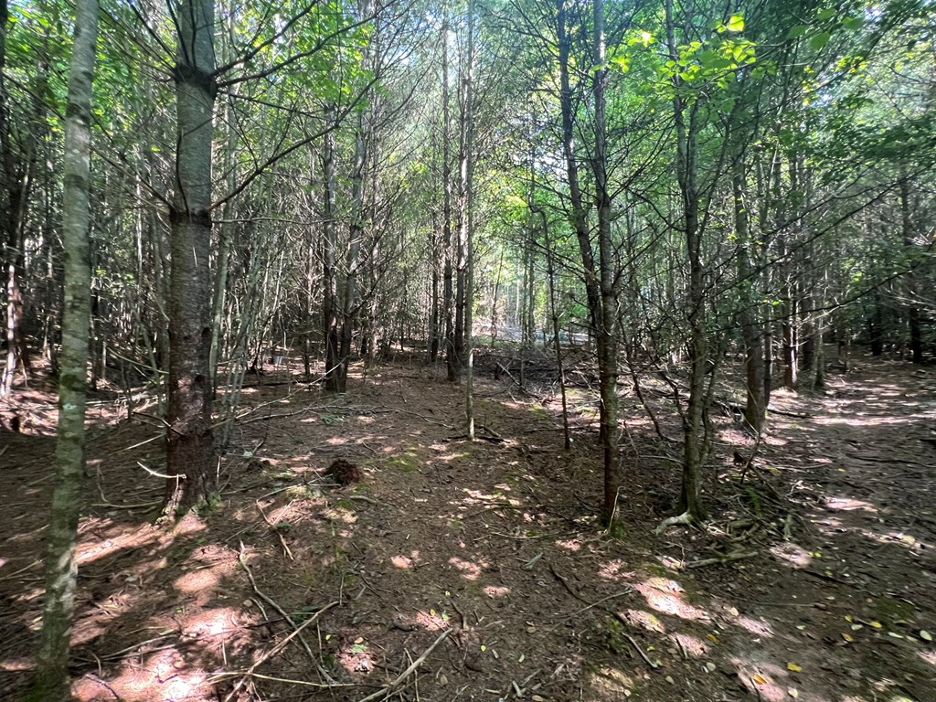 000 Hampton Church Rd Property Photo 9