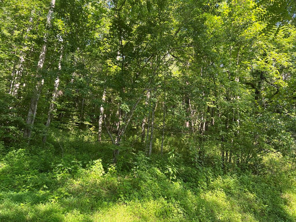 000 Hampton Church Rd Property Photo 10