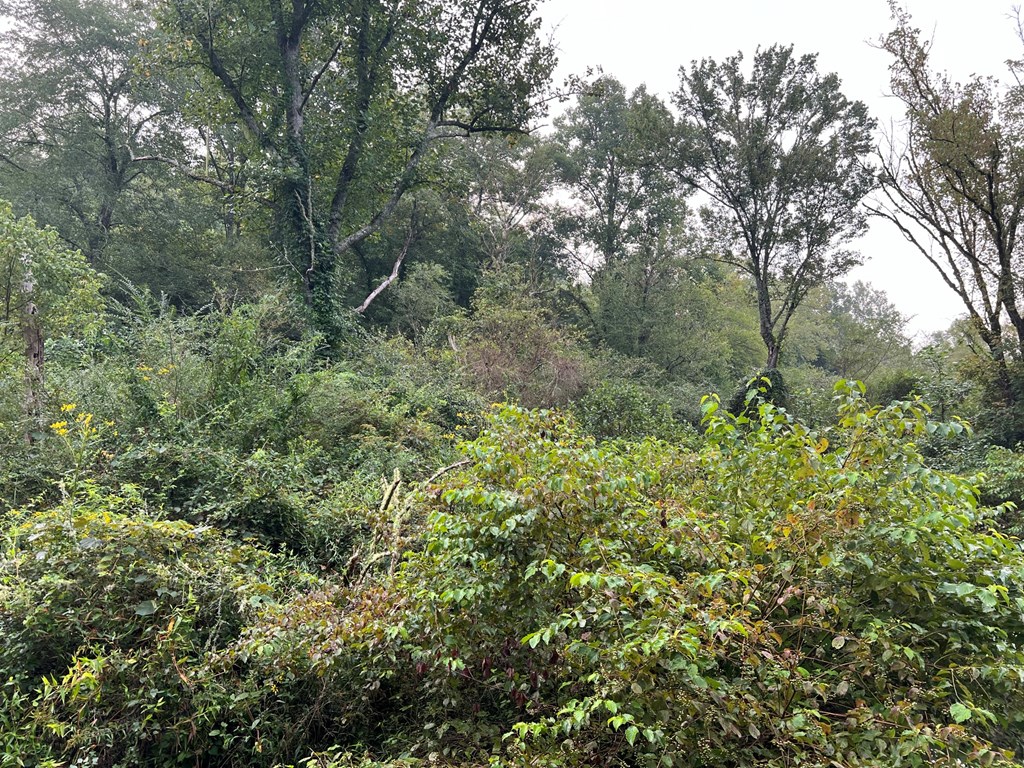 000 Hampton Church Rd Property Photo 12