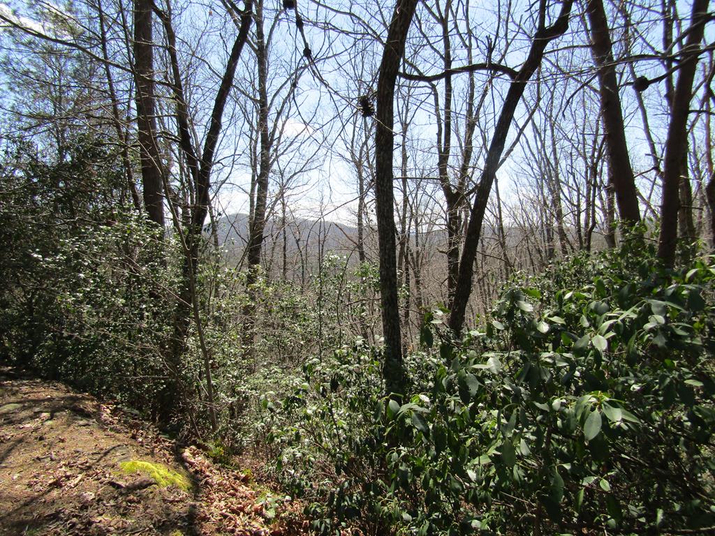 Lot 27 Mission Ridge Property Photo 1