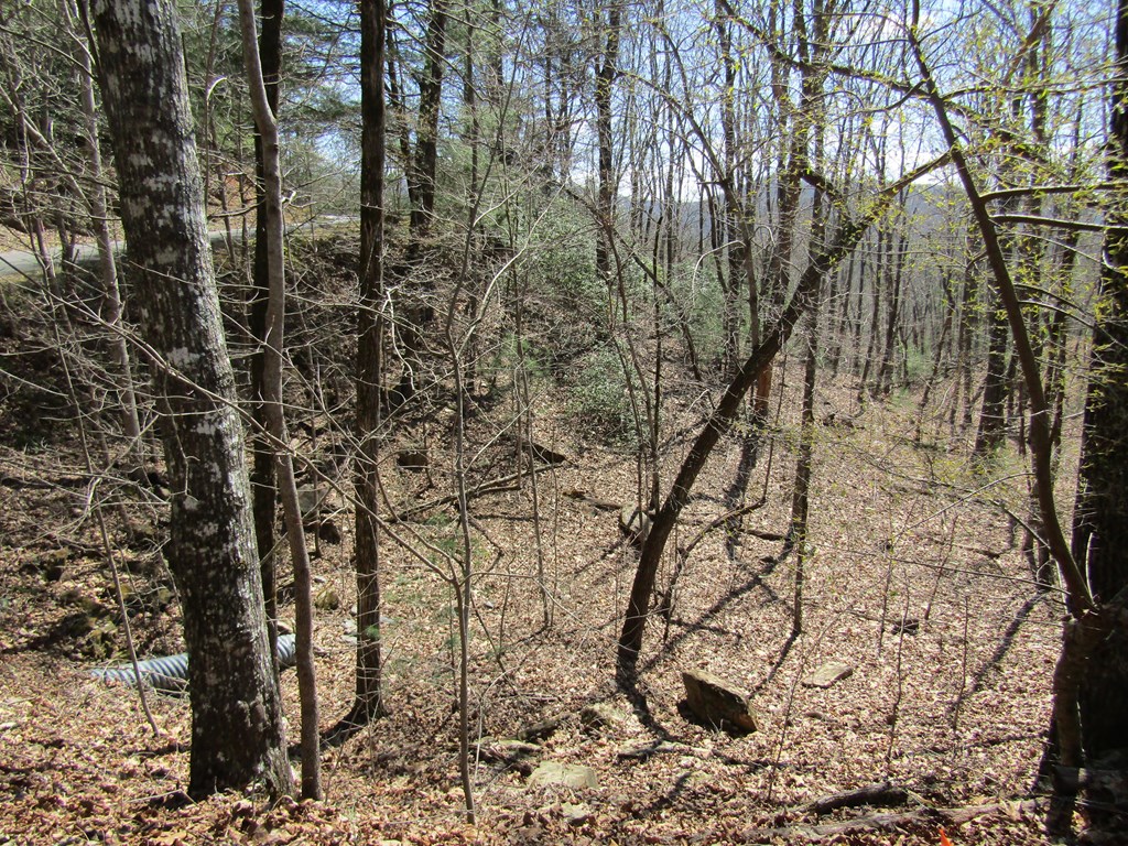 Lot 27 Mission Ridge Property Photo 2