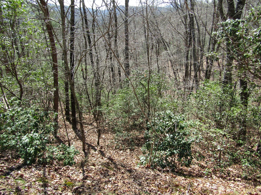 Lot 27 Mission Ridge Property Photo 4