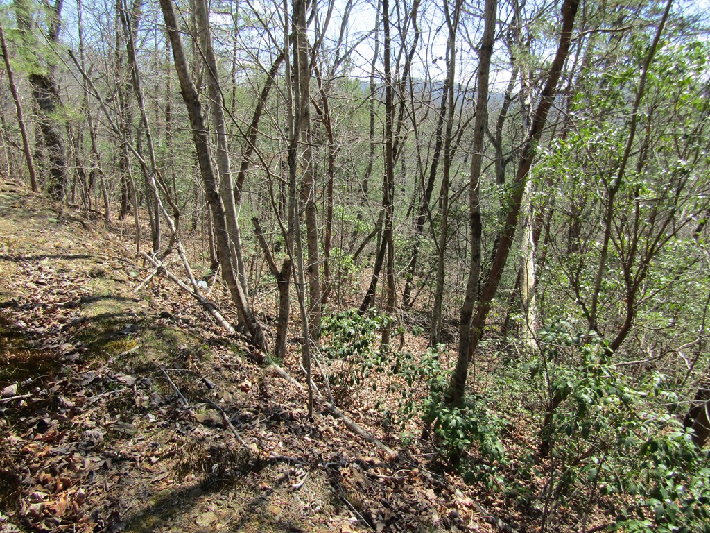 Lot 27 Mission Ridge Property Photo 5
