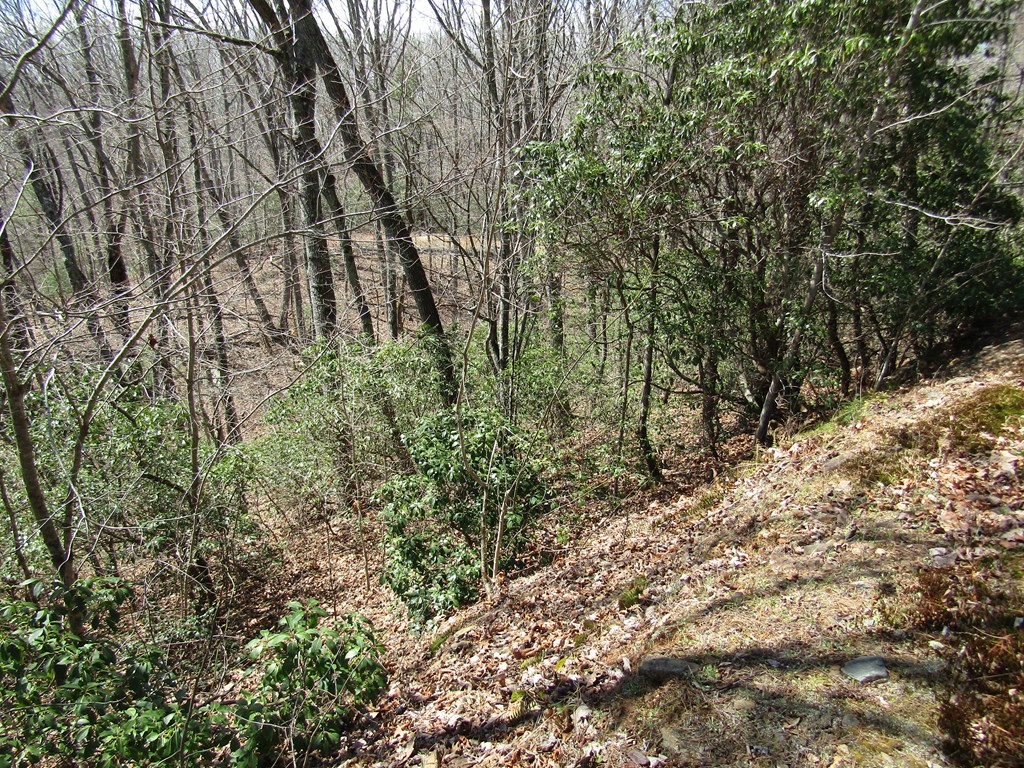 Lot 27 Mission Ridge Property Photo 6
