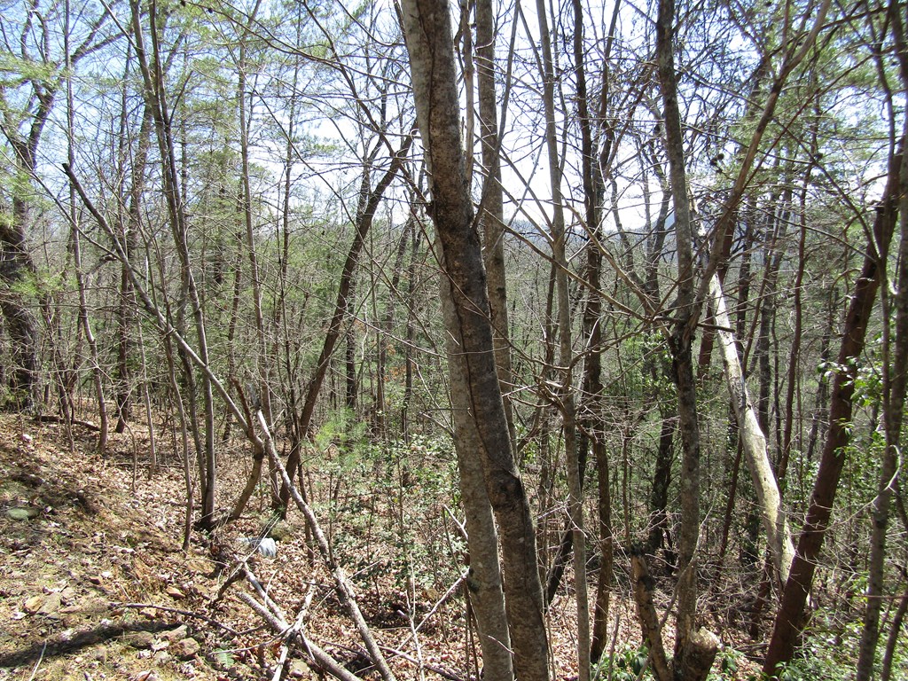 Lot 27 Mission Ridge Property Photo 7