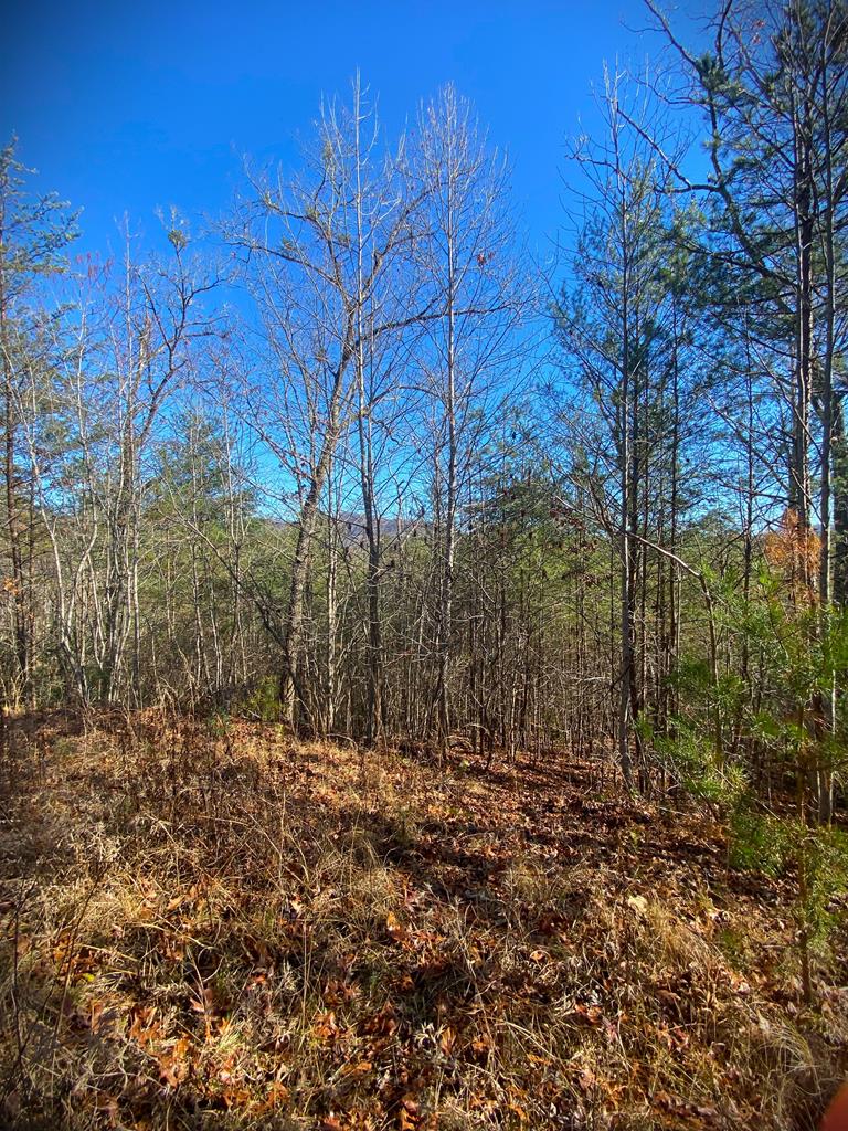 Lot 12 Hidden Lane Property Photo