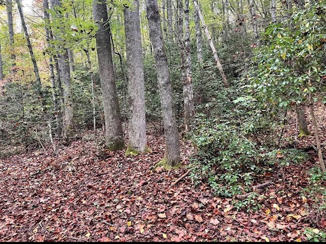 00 Wayah Road Property Photo 2