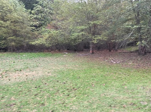 00 Wayah Road Property Photo 3