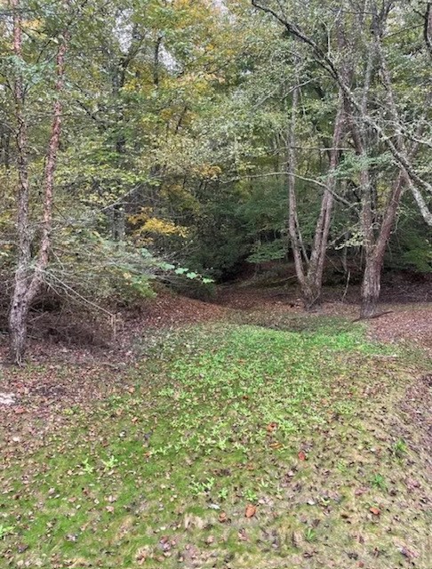 00 Wayah Road Property Photo 4