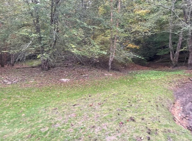 00 Wayah Road Property Photo 8